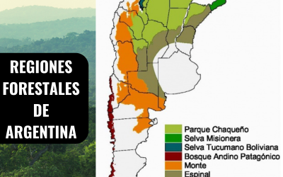 REGIONES FORESTALES DE ARGENTINA